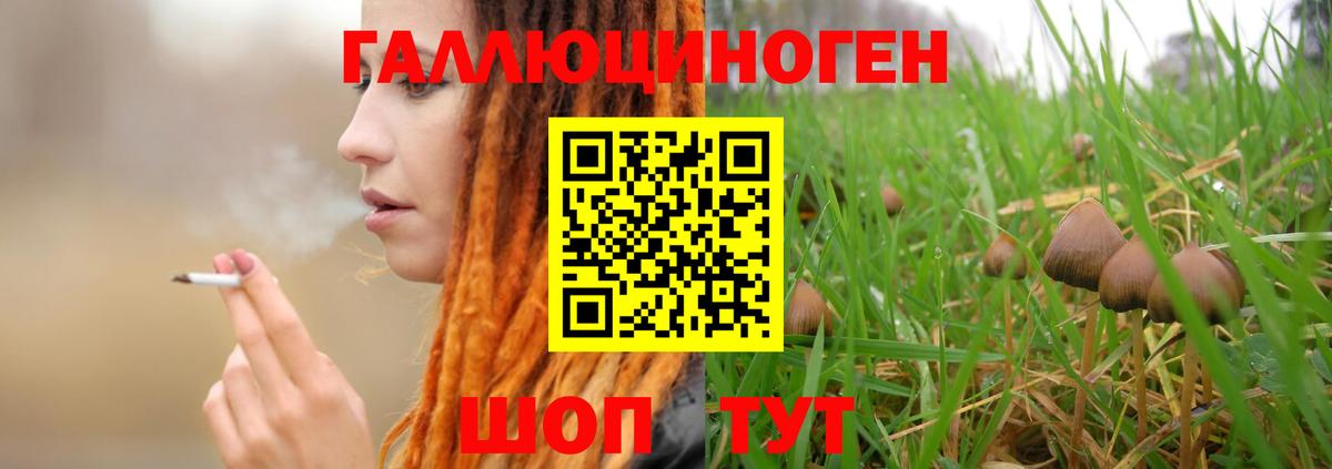 Псилоцибиновые грибы прущие грибы  Галлюциногенные грибы MAGIC MUSHROOMS  Сертолово  купить   Вход с VPN 
