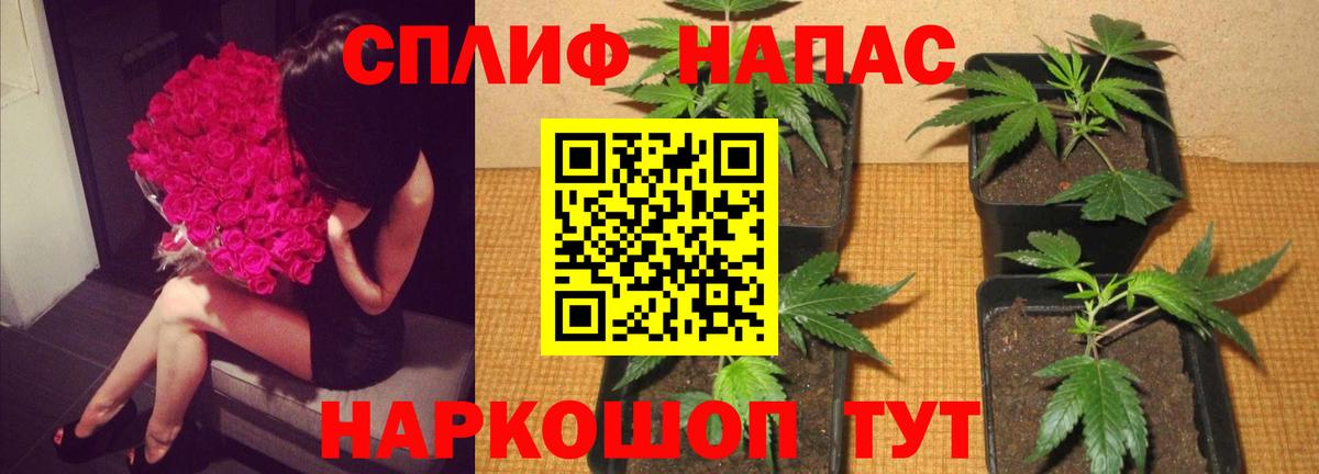 Конопля Bruce Banner  Вход с VPN  Бошки Шишки индика  Бошки Шишки Amnesia  Сертолово 